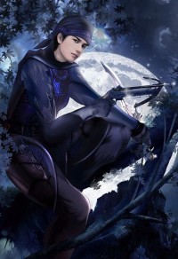 轮回之消逝的星辰